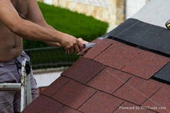 asphalt roof shingle