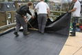 EPDM rubber roofing membrane 1