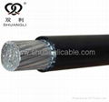 XLPE Insulated Overhead Cable 2