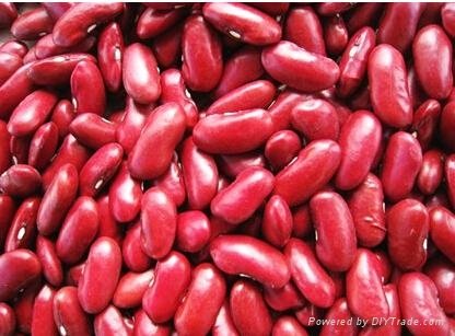 kidney beans 4