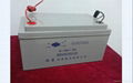 12-65AH lead-acid battery 1