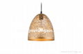 Zhongxin corrosion lampshade and pendant- 2 1