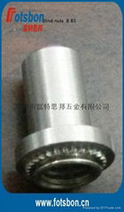 Blind self-clinching nuts BS-M4-2