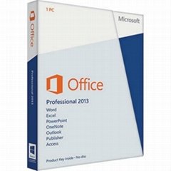 Office 2013 Professional   Office 2013 Pro Plus