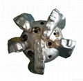 API 8 1/2" Steel Body PDC Bits for water