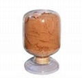 Copper Calcium Titanate (CCTO) 1