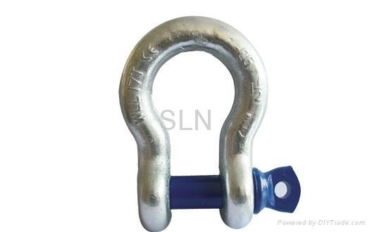 Screw Pin Anchor Shackle (S6)