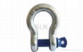 Screw Pin Anchor Shackle (S6) 1