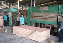 Commercial Plywood for Furniture