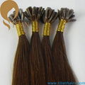 20inch hot selling Brazilian human hair brown color nail hair extension 3