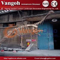 life size dinosaur skeleton