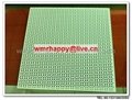 Perforated metal ceiling tile 3