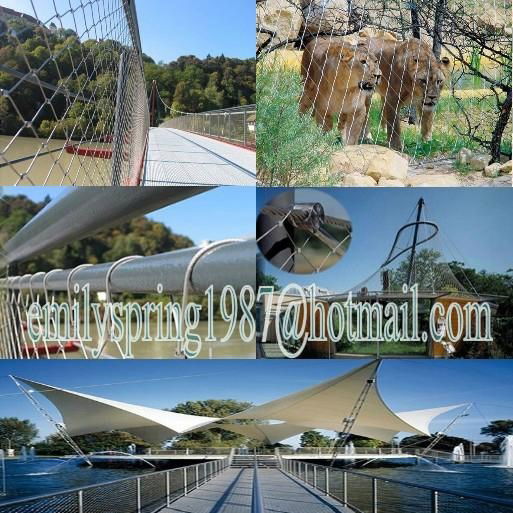 Stainless Steel rope Mesh for architectural decoration 3