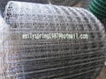 Pipe-line Reinforced Mesh