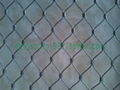 stainless steel wire rope mesh 2