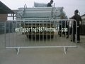 hot dipped galvanized crowd control
