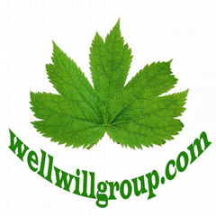 Foshan WellwillGroup Technology Development Co.,Ltd