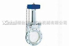 Knife gate valve