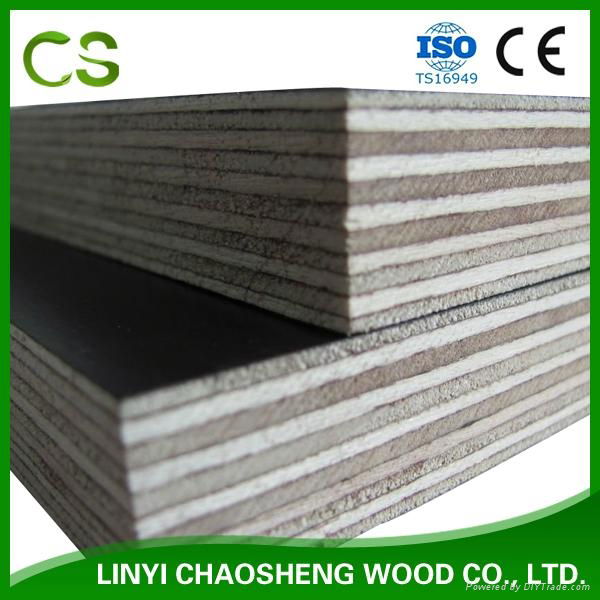 Black Film Faced Plywood Shuttering Plywood Construction Plywood 2