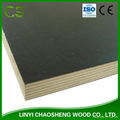 Black Film Faced Plywood Shuttering Plywood Construction Plywood 3