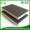 Black Film Faced Plywood Shuttering Plywood Construction Plywood 4