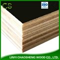 Black Film Faced Plywood Shuttering Plywood Construction Plywood 5
