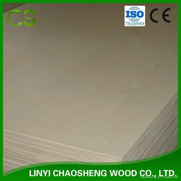 Birch Plywood 2