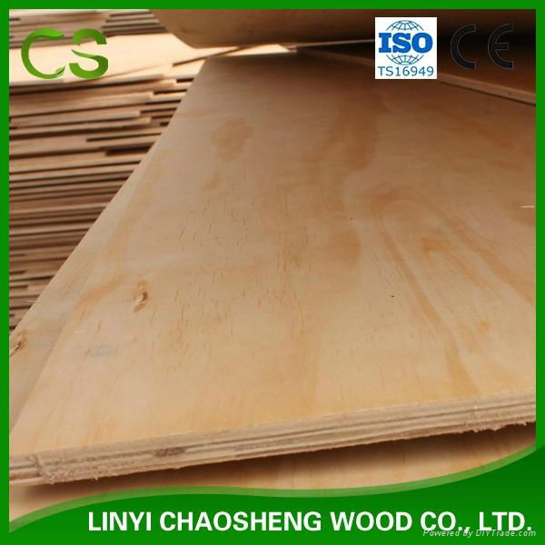 Radiata Pine Plywood