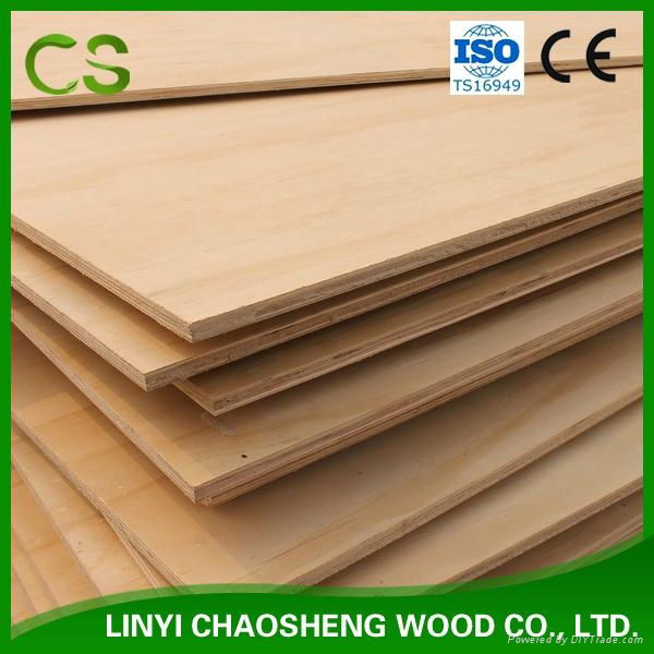 Radiata Pine Plywood 2