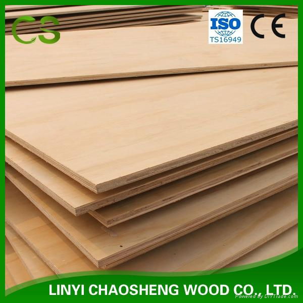 Radiata Pine Plywood 3