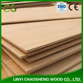 Radiata Pine Plywood 3