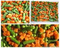 IQF mixed vegetables 2