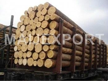 Pine wood logs 2