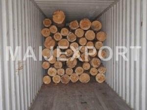 Pine wood logs 3