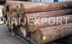 Pine Wood logs
