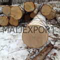 BIRCH WOOD LOGS