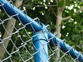 chain link fence  3