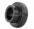 Insert UC bearing for conveyor systerm 1