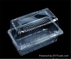 clear plastic food box