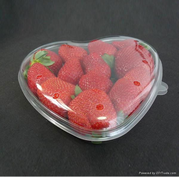 strawberry clamshell