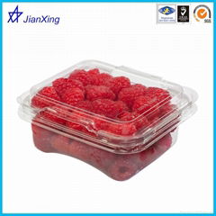 Plastic claear fruit container