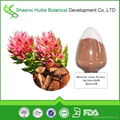 Rhodiola rosea extract