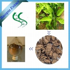 Medicinal Morinda Root Extract