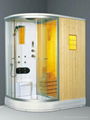 shower enclosure and shower room