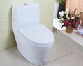 Bathroom sanitary ware wc toilet &