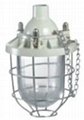 新黎明BCD-100隔爆型防爆燈