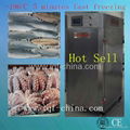 100kg/hour cabinet deep freezer 1