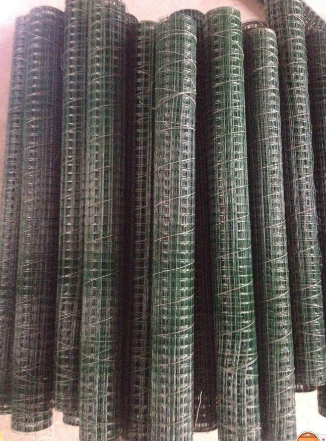 PVC WIRE MESH 2