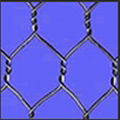 PVC WIRE MESH 4