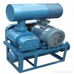 Pneumatic & Particle Conveying applications roots blower